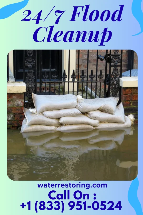 24/7 Flood Cleanup in H. Cuellar Estates, TX