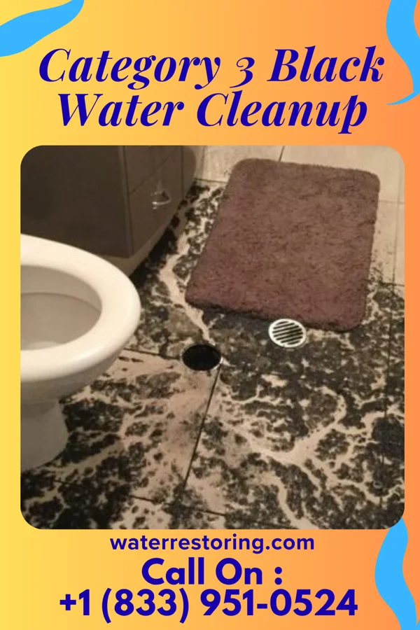 Category 3 Black Water Cleanup in H. Cuellar Estates, TX
