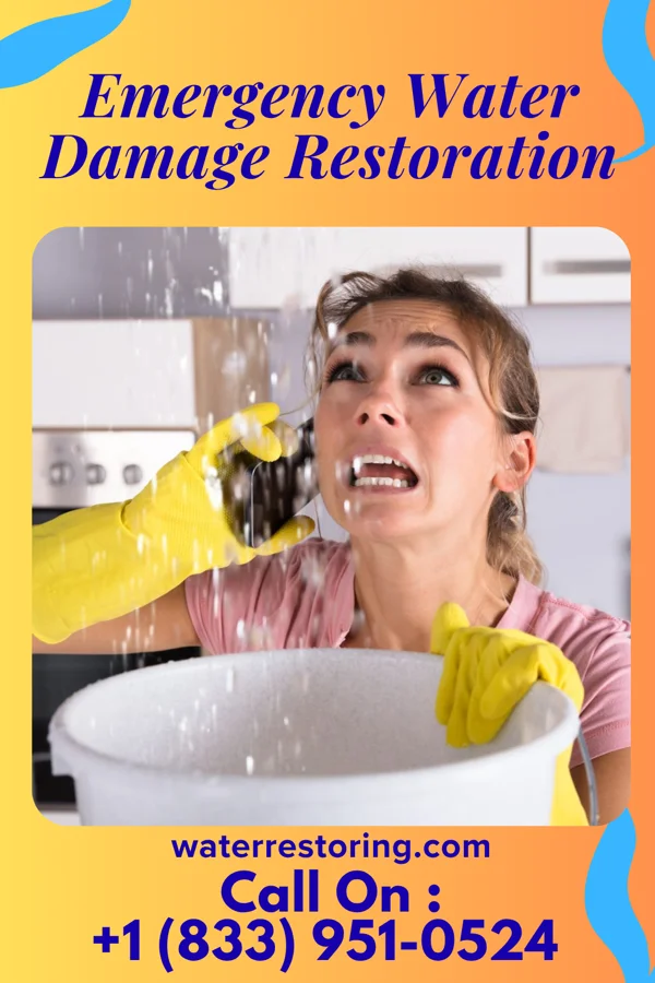 Emergency Water Damage Restoration in H. Cuellar Estates, TX