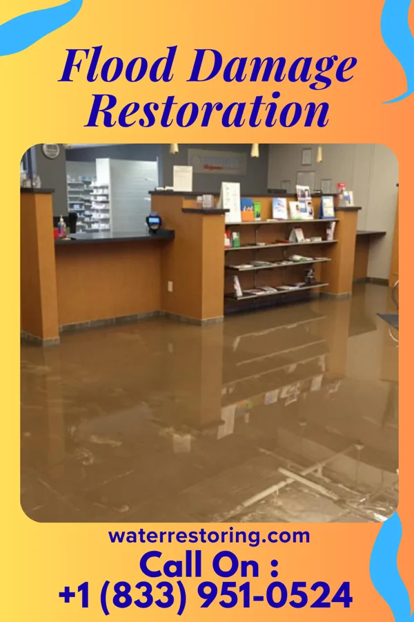 Flood Damage Restoration in H. Cuellar Estates, TX
