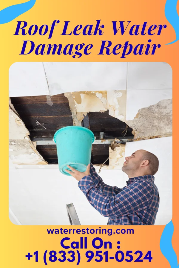 Roof Leak Water Damage Repair in H. Cuellar Estates, TX