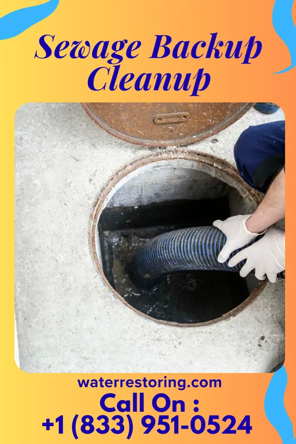 Sewage Backup Cleanup in H. Cuellar Estates, TX