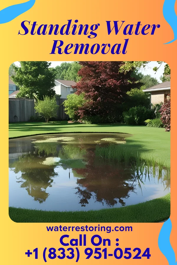 Standing Water Removal in H. Cuellar Estates, TX
